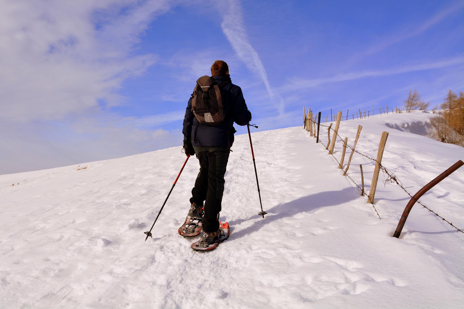 Schneeschuhwandern 1/2 Tagestour Nachmittags